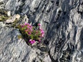 Mount Gabriel, Cnoc Osta, overlooking Schull, County Cork Royalty Free Stock Photo