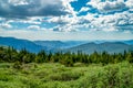 Mount Goliath during July 2023 outside of Idaho Springs Royalty Free Stock Photo