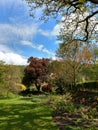 Mount Grace Priory, House and Gardens