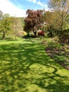 Mount Grace Priory, House and Gardens