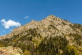 Mount green forest on a background of pure heaven