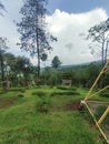 mount green happy healing love nice view cloud sky tree mountain Royalty Free Stock Photo