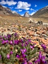 Mount Gumbok Rangan (Gonbo Rangjon).