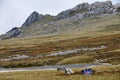 Mount Harriet Falkland Islands