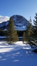 Mount Haynes in winter at Yellowstone Royalty Free Stock Photo