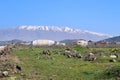 Mount Hermon, Golan heights, Israel Royalty Free Stock Photo