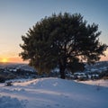 Mount Hermon is observed from the Gamla Nature Reserve in the Golan Heights, Israel made with Generative AI Royalty Free Stock Photo