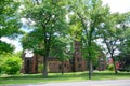 Mt Holyoke College campus tree