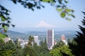 Mount Hood Royalty Free Stock Photo