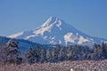 Mount Hood