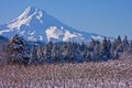 Mount Hood