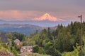 Mount Hood Evening Alpenglow at Happy Valley