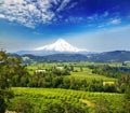 Mount hood and hood river valley Royalty Free Stock Photo