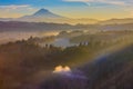 Mount Hood from Jonsrud viewpoint. Royalty Free Stock Photo