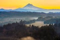 Mount Hood from Jonsrud viewpoint Royalty Free Stock Photo