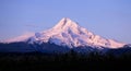 Mount hood, oregon Royalty Free Stock Photo