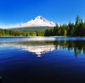 The Mount Hood reflection in Trillium Lake