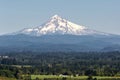 Mount Hood in the Summer in Portland Oregon