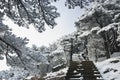 Mount Huangshan snow Royalty Free Stock Photo
