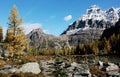 Mount Huber and Opabin Plateau, Yoho National Park, Canada Royalty Free Stock Photo