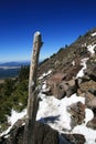Mount Humphreys trail