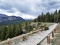 Mount ians in  Banff Alberta,e Royalty Free Stock Photo