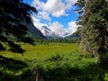 Mount Jackson rises across the Mirror Pond Meadow