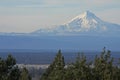 Mount Jefferson Royalty Free Stock Photo