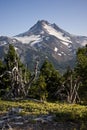 Mount Jefferson Wilderness Vertical Landscape Royalty Free Stock Photo