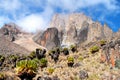 Mount Kenya, Africa Royalty Free Stock Photo