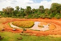 Mount Kenya Lodge