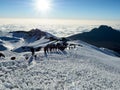 Hikers on the ridge ascend mount kilimanjaro the tallest peak in africa Royalty Free Stock Photo