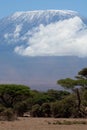 Mount Kilimanjaro