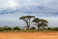 Mount Kilimanjaro Royalty Free Stock Photo