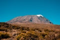 Mount Kilimanjaro, Moshi, tanzania Royalty Free Stock Photo