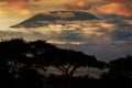 Mount Kilimanjaro. Savanna in Amboseli, Kenya Royalty Free Stock Photo