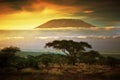 Mount Kilimanjaro. Savanna in Amboseli, Kenya Royalty Free Stock Photo