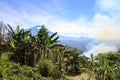 Mount Kinabalu, Sabah, Malaysia, Borneo