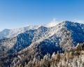Mount leconte in snow in smokies Royalty Free Stock Photo