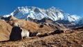 Mount Lhotse and Nuptse Nepal Himalayas mountains