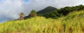 Mount Liamuiga in Saint Kitts Royalty Free Stock Photo