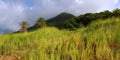 Mount Liamuiga in Saint Kitts Royalty Free Stock Photo