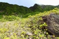 Mount Liamuiga - St Kitts Royalty Free Stock Photo