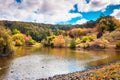 Mount Lofty Botanic Garden during autumn season