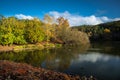 Mount Lofty Botanic Garden Lake in the afternoon sun