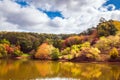 Mount Lofty park in autumn Royalty Free Stock Photo