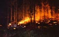 Mount Macedon Fire crews battle the bushfires on Ash Wednesday February 1986