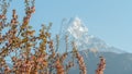 Mount Machhapuchhre in spring, Annapurna Conservation Area, Himalaya, Nepal. Royalty Free Stock Photo