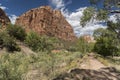 Mount Majestic, trail and trees Zion National Park Utah