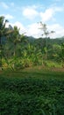 Mount Manggul Joyo in Cacaban Kidul